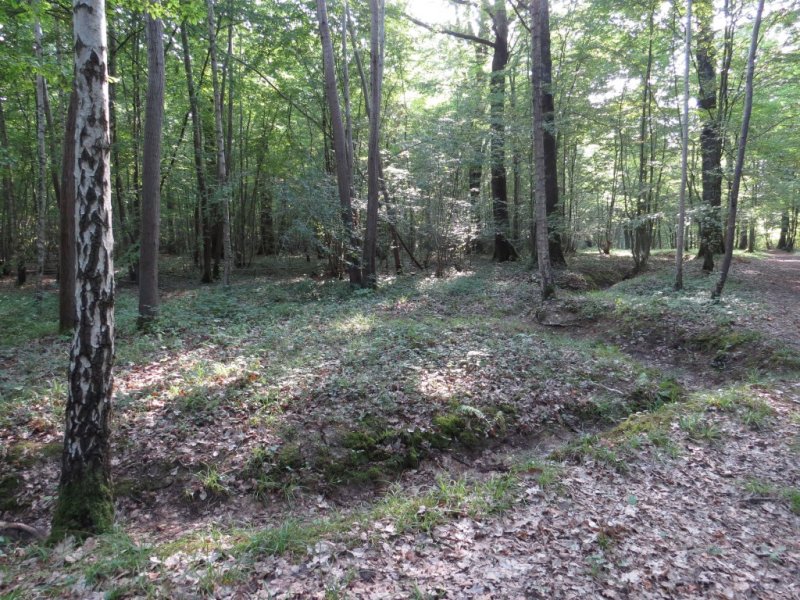  Belleau Woods