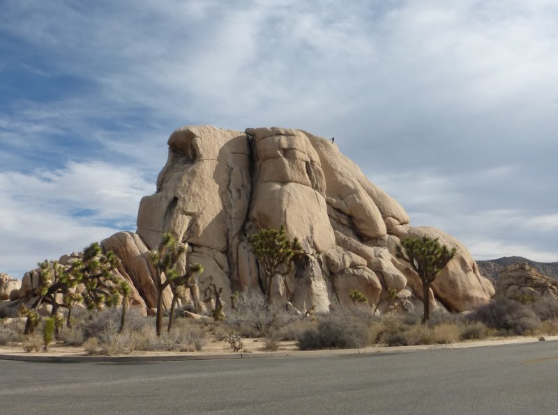 Joshua Tree Rocks