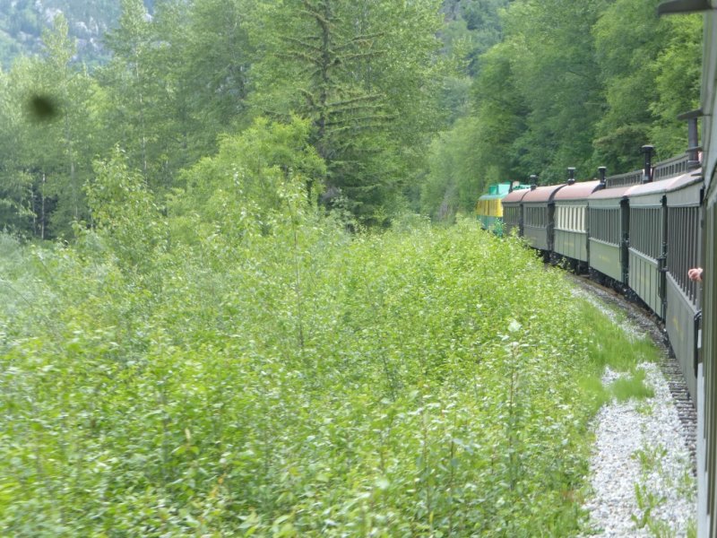  Train