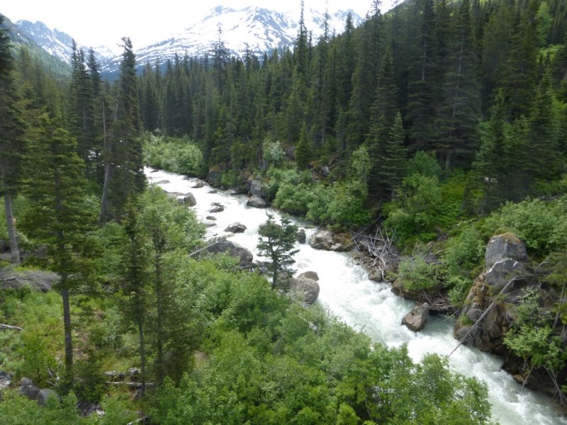 View from train