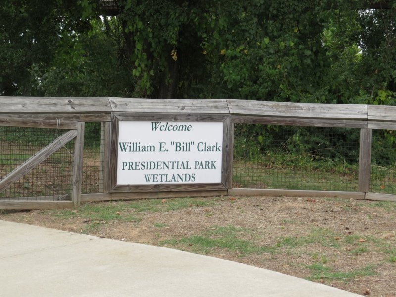 Wetland at library park