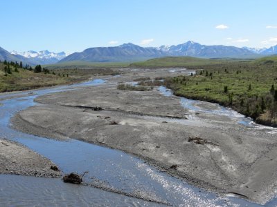 Savage River -- a braided river' in the summer