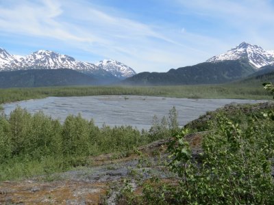 View from Exit Glacier