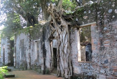 Hernan Cortez's house, overgrown