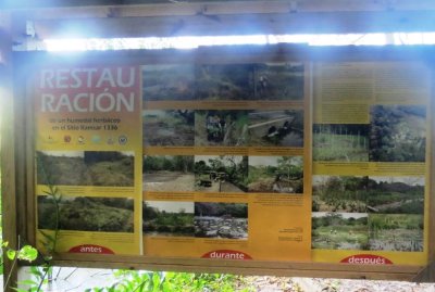 Restoration at La Mancha Biological Field Station