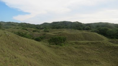 From the Top of the Hill