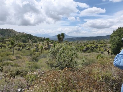High Desert