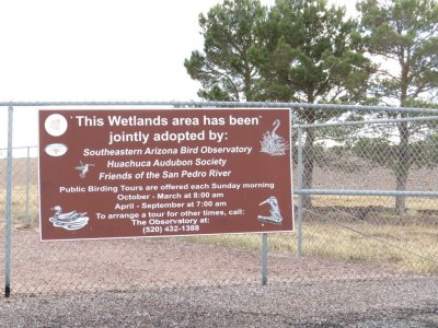 Sierra Vista Wetland - a work in progress