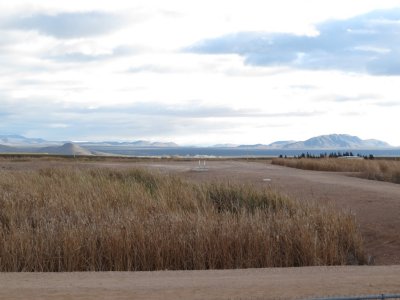 Scene from wetland platform