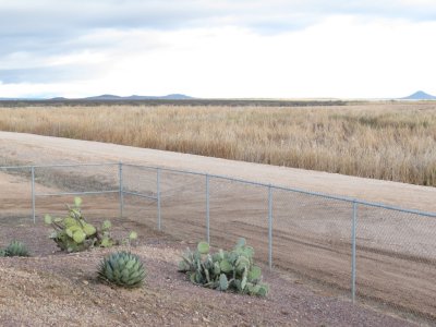 Scene from Wetland platform