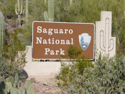 Saguaro National Park