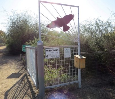 Gilbert Road Riparian Preserve