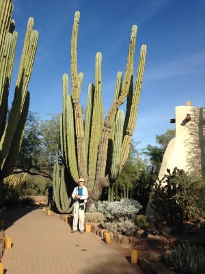 Jane at arboretum