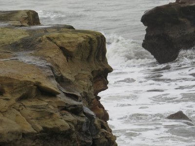 Old Man of West Cliff
