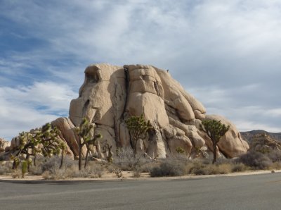 Joshua Tree Rocks