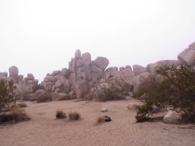 Rocks