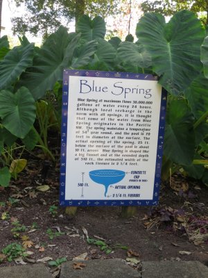 Blue Spring