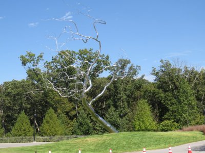 Silver tree