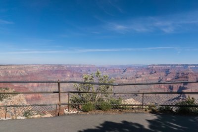 View from a Canyon Bench