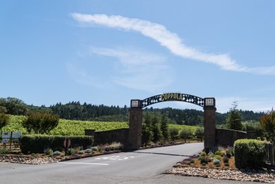 Moving on to the big time.. the Francis Ford Coppola Vineyard