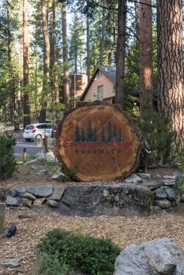 Our Yosemite Lodge