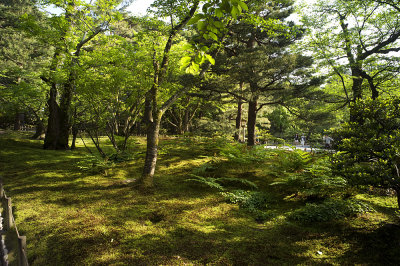 g9/71/56471/3/155684774.ZOi1zy1j.jpg