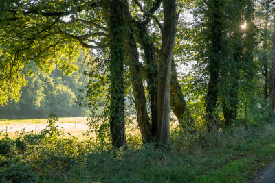 Groningen, the province