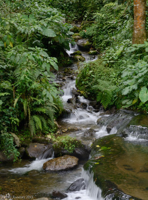 Termales de Santa Rosa