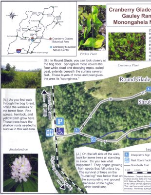 Cranberry Glades Botanical Pg 2