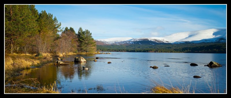 Loch Morlich