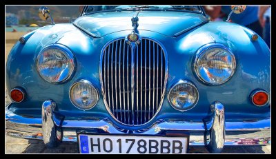 Jaguar