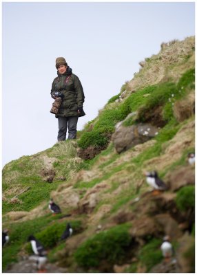 Rose Surveys the Cliffs