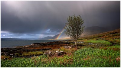 Rain and Sun Combination