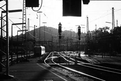 P1010015.jpg