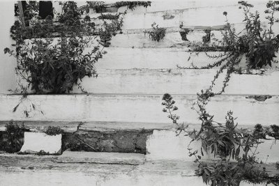 Image22.jpg