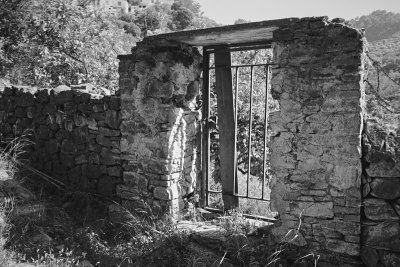 Image10.jpg
