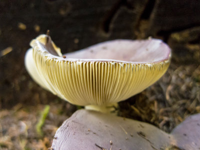 130914-163330-0155.jpg