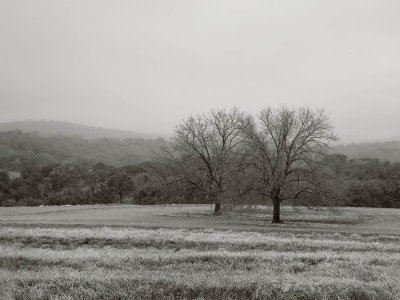 20150228-0551 Kendall Co TX bw.jpg