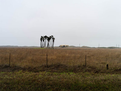 20150302-0580 Port Aransas TX.jpg