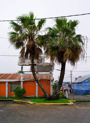 20150302-0596 Port Aransas TX.jpg