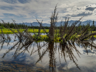 20150805-2026 AlaskaHwy Yukon Canada.jpg