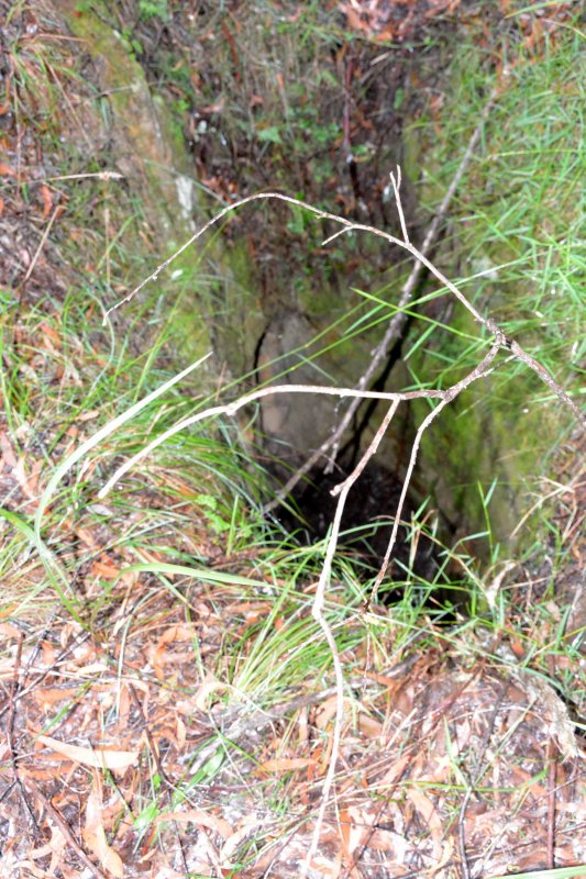 Mine shaft.jpg