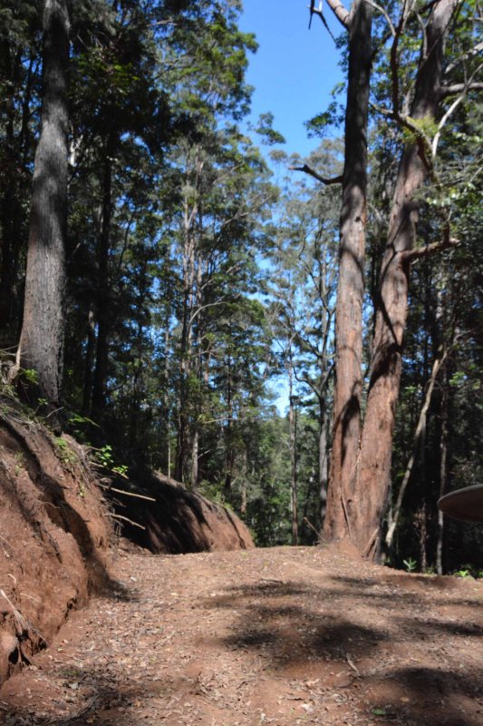Jessup Road after settling.jpg