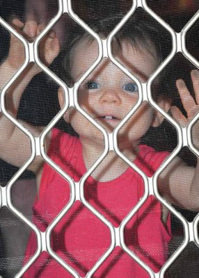 Evie let me out Xmas 2014.jpg