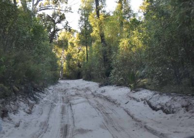4WD on Fraser Island East Coast.1.jpg