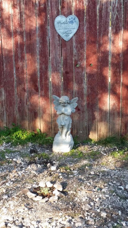 20160207_084500.jpg