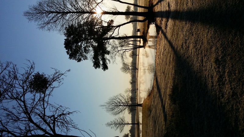 20160205_080133.jpg