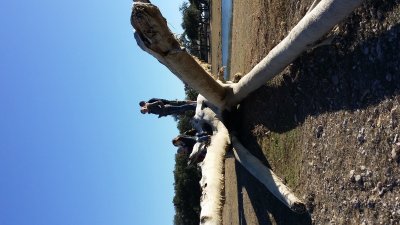 20160206_155350.jpg