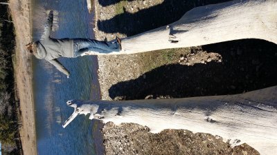20160206_155001.jpg