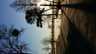 20160205_080133.jpg